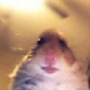 Meet your Posher, Eryn